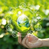 Sử dụng tủ đông tiết kiệm điện và an toàn